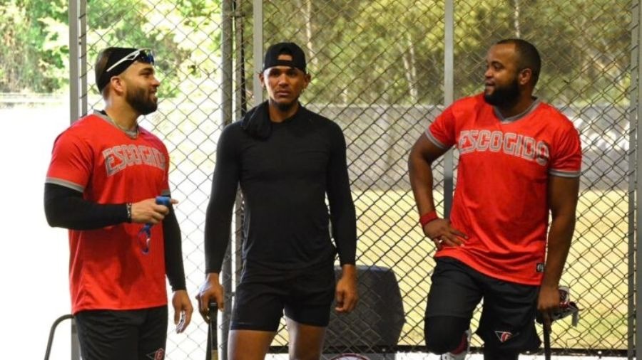 escogido (2)